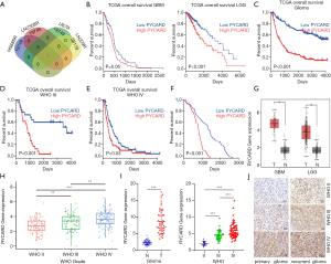 Click on image to zoom