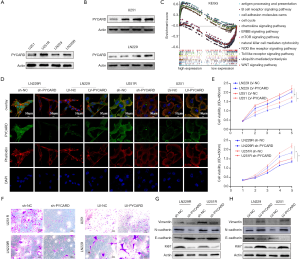 Click on image to zoom