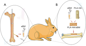 Click on image to zoom