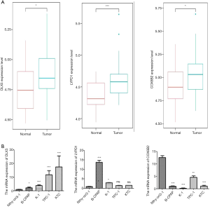 Click on image to zoom