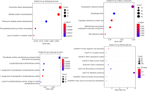 Click on image to zoom