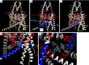 Click on image to zoom