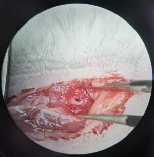 Click on image to zoom