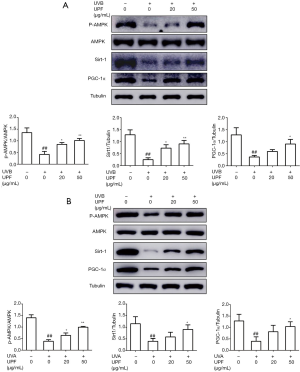 Click on image to zoom