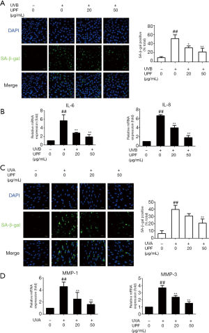 Click on image to zoom