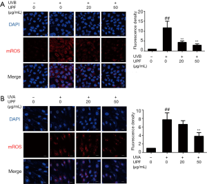 Click on image to zoom