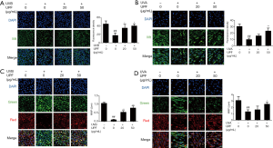 Click on image to zoom