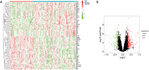 Click on image to zoom