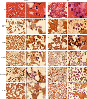 Click on image to zoom