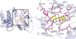 Click on image to zoom