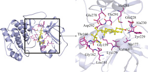 Click on image to zoom