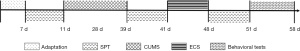 Click on image to zoom