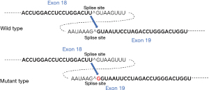 Click on image to zoom