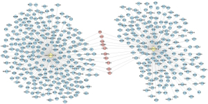 Click on image to zoom