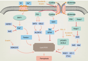 Click on image to zoom