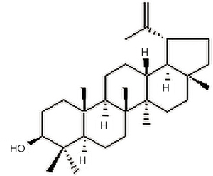 Click on image to zoom