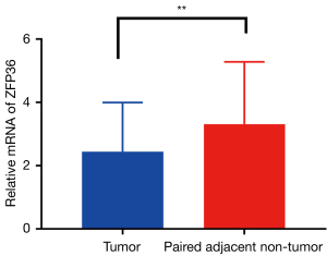 Click on image to zoom