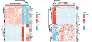 Click on image to zoom