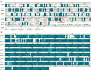 Click on image to zoom