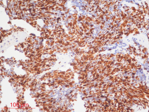 Click on image to zoom