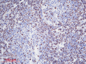 Click on image to zoom