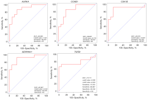 Click on image to zoom