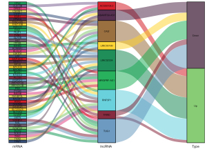 Click on image to zoom