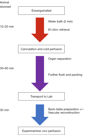 Click on image to zoom