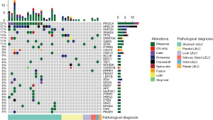 Click on image to zoom