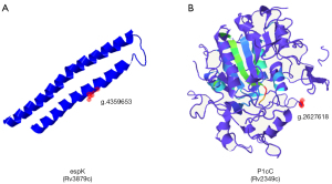 Click on image to zoom