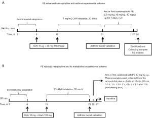 Click on image to zoom