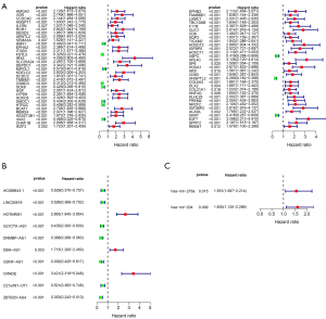 Click on image to zoom