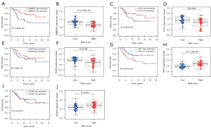 Click on image to zoom