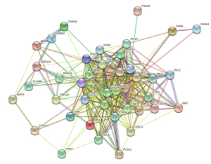 Click on image to zoom