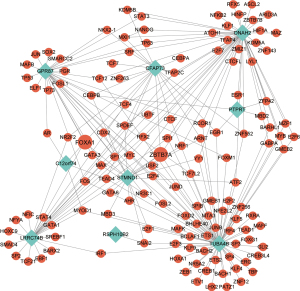 Click on image to zoom