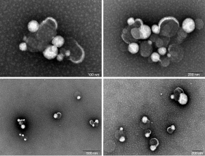 Click on image to zoom