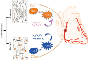 Click on image to zoom