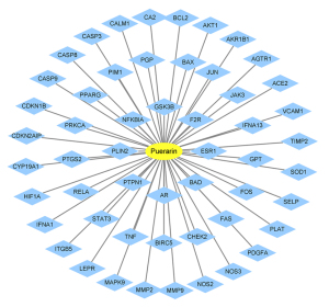 Click on image to zoom