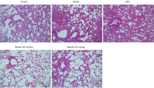 Click on image to zoom