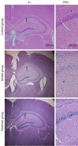 Click on image to zoom