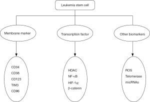 Click on image to zoom