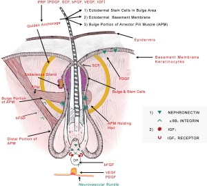 Click on image to zoom