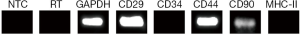 Click on image to zoom