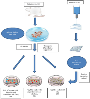 Click on image to zoom