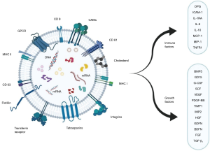 Click on image to zoom