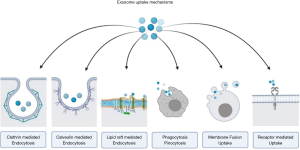 Click on image to zoom