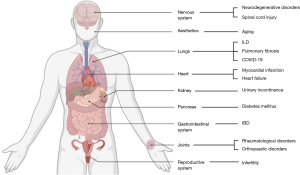 Click on image to zoom