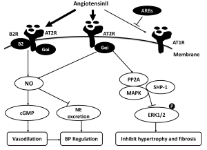 Click on image to zoom Figure 1