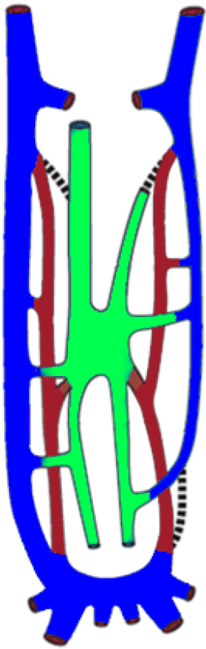 Click on image to zoom