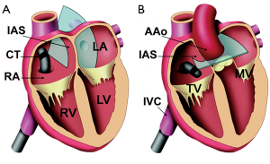 Click on image to zoom Figure 1